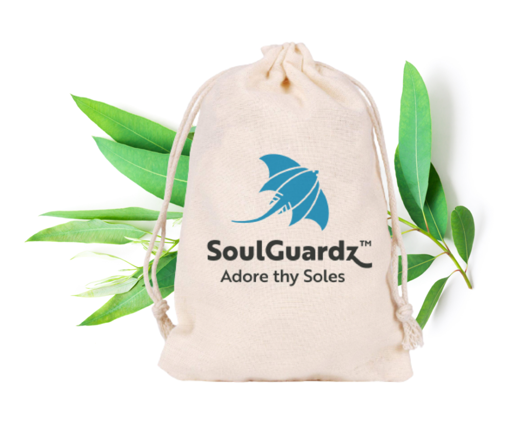 SoulGuardz Shoe bag